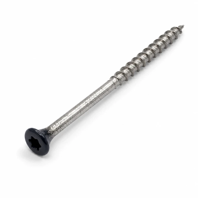 7317761972556-1.png